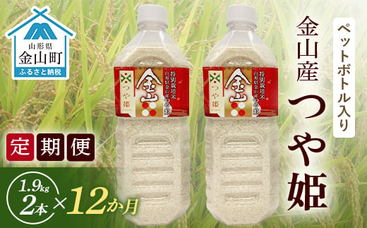 《令和6年産米 定期便》金山町産「つや姫【精米】」1.9kg(ペットボトル入り)×2本セット×12ヶ月 計45.6kg 米 お米 白米 ご飯 精米 ブランド米 つや姫 送料無料 東北 山形 金山町 F4B-0490