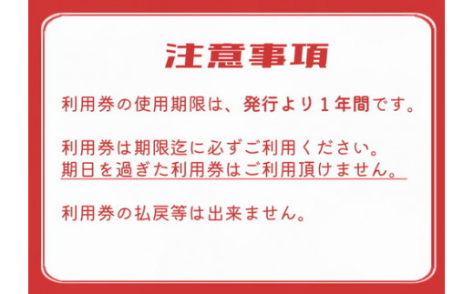 ※太ッ腹キャンプ場　フリーサイト利用券