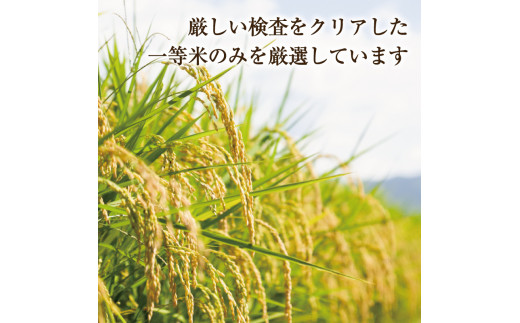 令和6年産 福岡県産 米 食べ比べ＜白米＞セット「夢つくし」と「元気つくし」2種類 計20kg入り [a8261] 株式会社 ゼロプラス 【返礼品】添田町 ふるさと納税