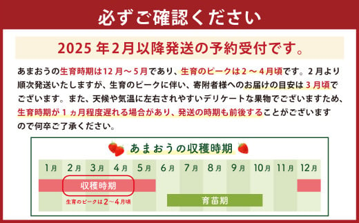 数量限定 福岡県産 あまおう 270g×4パック