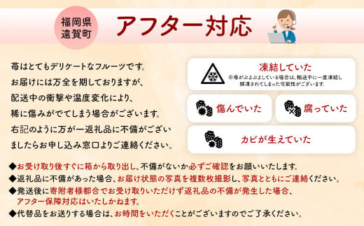 数量限定 福岡県産 あまおう 270g×4パック