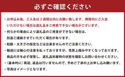 数量限定 福岡県産 あまおう 270g×4パック