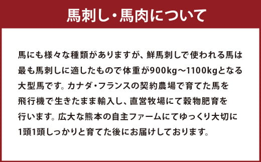 生でも焼きでもOK！馬刺しカルビ (約200g×2) 心臓(ハツ) 切り落とし (約100g×2) 約計600g