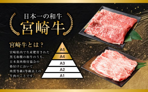 ＜特撰・宮崎牛もも300g/バラ300g すき焼き・しゃぶしゃぶ＞2か月以内に順次出荷します