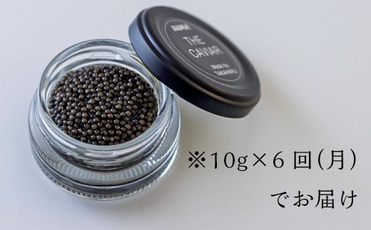 【定期便 6ヶ月】THE・CAVIAR（ザ・キャビア）10g TF0490-P00066