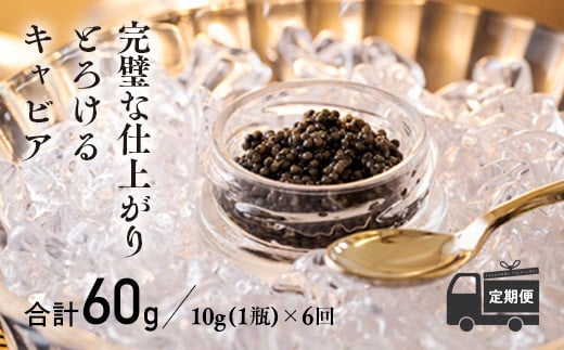 【定期便 6ヶ月】THE・CAVIAR（ザ・キャビア）10g TF0490-P00066