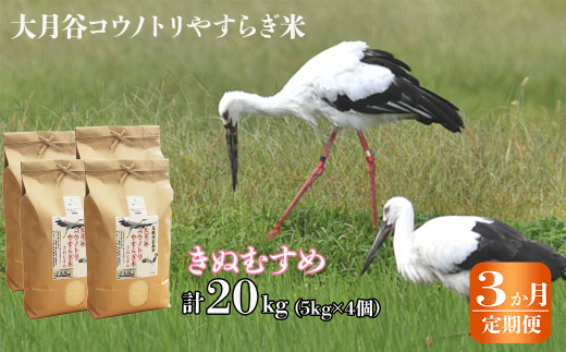 【定期便3か月連続お届け】「大月谷コウノトリやすらぎ米」きぬむすめ20kg（5kg×4）【島根県産 雲南市産 ブランド米 米 お米 白米 コメ こめ おこめ ライス 精米 ふっくら ツヤツヤ 炊き立て 甘い 美味しい 家庭用 ふるさと ご飯 おうちご飯 袋 自然 天然 送料無料 定番 朝食 昼食 夜食】