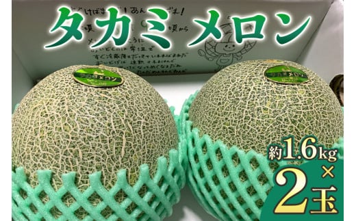 タカミ メロン (約1.6kg×2玉)｜青森 津軽 つがる産 めろん 特産 ジューシー 糖度 フルーツ 果物 ギフト 産直 青肉メロン [0634]