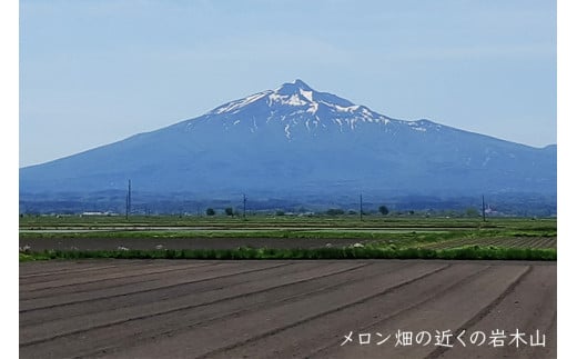 タカミ メロン (約1.6kg×2玉)｜青森 津軽 つがる産 めろん 特産 ジューシー 糖度 フルーツ 果物 ギフト 産直 青肉メロン [0634]