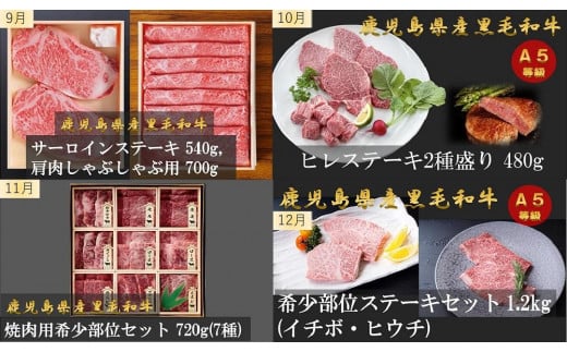 【定期便/全12回】　特選定期便～鹿児島県産お肉の定期便　プレミアムコース～