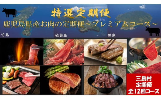 【定期便/全12回】　特選定期便～鹿児島県産お肉の定期便　プレミアムコース～