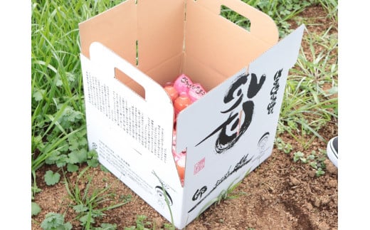 [数量限定] 坂本養鶏 大山の麓で育ったさかもとのたまご 100個 [0091] 伊勢原市 赤玉卵 玉子 鶏卵 生卵 国産 TKG タマゴ 新鮮