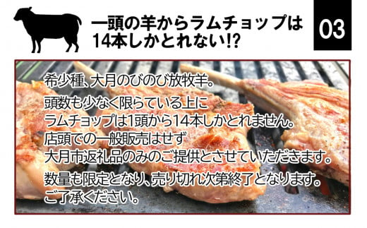 【先行予約】大月のびのび放牧羊【ラムチョップ＆ステーキセット】ラムチョップ2本・ステーキ400g(肩ロース100g×2枚 バラ100g×2枚) ※11月中旬より順次発送