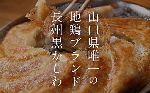 長州黒かしわ餃子＆豚餃子 食べ比べセット 72個入り 手作り 生餃子 餃子 国産野菜  冷凍 化学調味料不使用 化学調味料無添加 らいちの餃子 黒かしわ 長州黒かしわ F6L-955