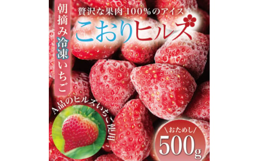 完熟朝摘み冷凍いちご『こおりヒルズ』500g＜ヘタなし・急速冷凍＞宮城のいちご農家から直送【1497567】