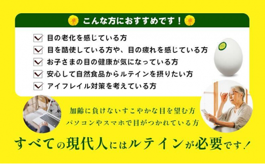 [№5911-0331]光の刺激から目を守る　ルテイン含有卵　機能性表示食品「あらん」