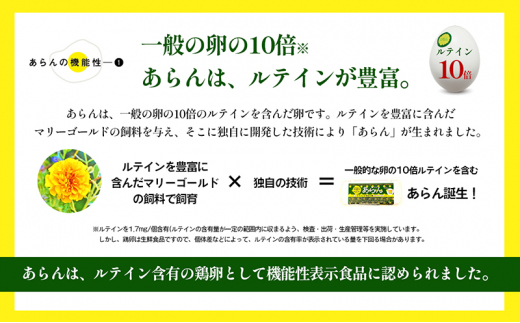 [№5911-0331]光の刺激から目を守る　ルテイン含有卵　機能性表示食品「あらん」