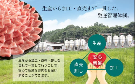 火の本豚 豚肩ロース 3000g 豚肉 熊本 グランプリ受賞 生姜焼き | 熊本県 熊本 くまもと 和水町 なごみ 豚肉 火の本豚 地域ブランド 肩ロース ロース 500g 6パック