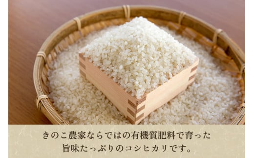 【令和6年産新米】新潟県産 コシヒカリ（従来品種）精米1.5kg（1.5kg×1袋）《順次発送》 精米 白米 きのこ農家ならではの有機質肥料 お米 新潟産 コシヒカリ 加茂市 青木農園