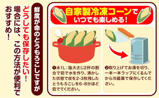 朝採れ直送！ とうもろこし 白いおおもの 甘い 約5kg 13本入り 2Lサイズ 七戸宏大《8月上旬-8月中旬頃出荷》岩手県 九戸村 ホワイトコーン 白いとうもろこし おおもの 5kg スイートコーン