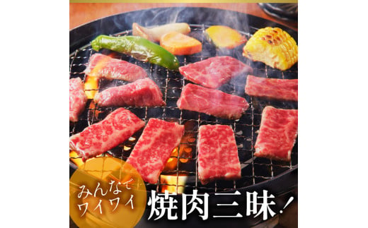 宮崎牛モモ焼肉800g N023-YZC005