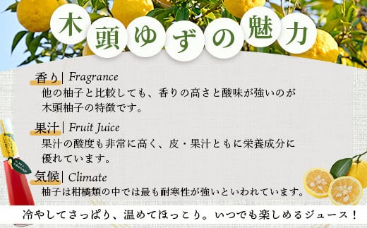 手しぼり木頭ゆず使用 木頭ゆずとしそ果じゅう 120ml 6本【徳島 那賀 木頭柚子 ゆず ユズ 柚子 赤しそ 赤紫蘇 シソ 果汁 ジュース かき氷 シャーベット シロップ 水割り お湯割り 炭酸割り 手作り 無添加 国産 国内製造 生産者直送】YA-50