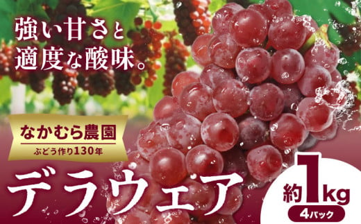 ぶどう【2025年先行予約】デラウェア 約1kg(4パック) 有限会社なかむら農園《2025年6月上旬-7月下旬頃出荷》大阪府 羽曳野市 ぶどう ブドウ 葡萄 送料無料