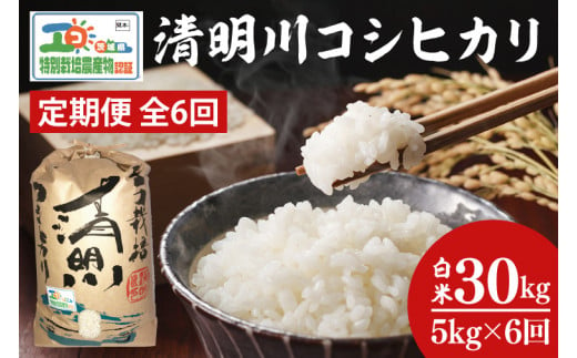 04-04【6ヶ月定期便】茨城県特別栽培認証 清明川コシヒカリ白米5kg【令和6年産新米】【米 おこめ こしひかり  特別栽培米 農家直送 直送 茨城県 阿見町】