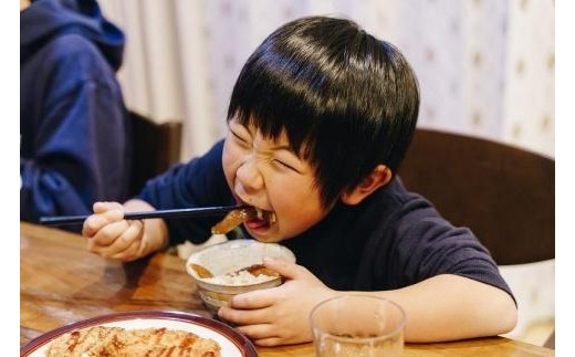 とびっきり、とび飯。【屋久島トビウオ漬け丼の素】12食セット