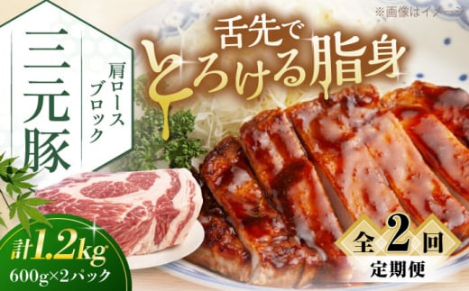  肉 豚肉 ロース ブロック ローストポーク 煮豚 酢豚 煮物 冷凍配送 