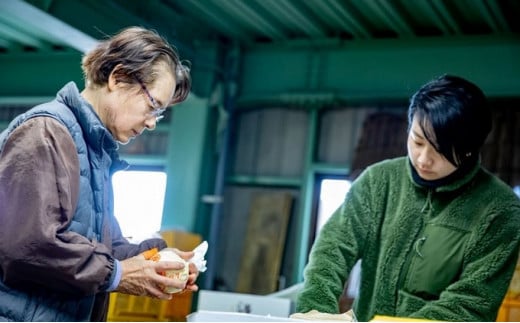 梨 2024年 先行予約 鴨梨（ヤーリー）5～7玉 約3kg 贈答箱 ナシ なし 岡山県産 国産 フルーツ 果物 ギフト 石原果樹園 [№5735-0945]