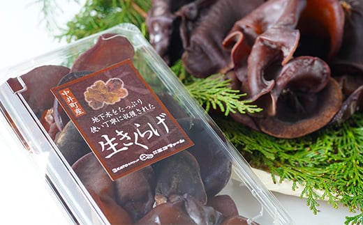 井戸水を使って作られた生きくらげ　約1.2kg(約200g×6p)【1139807】