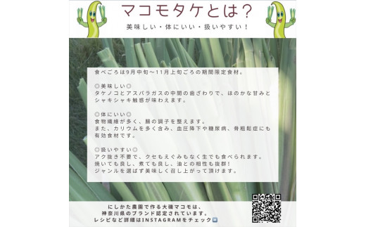 かながわブランド 大磯マコモ(2kg 10～18本程度)【栽培期間中農薬不使用】＜出荷時期：2024年10月1日出荷開始～2024年10月31日出荷終了＞【 神奈川県 大磯町 化学肥料不使用 炒め物 大磯町特産品 季節野菜】