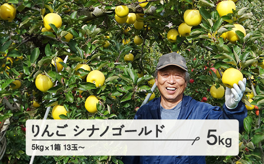 《先行予約》 山形県 山辺町産 りんご シナノゴールド 約5kg (13～23玉）2024年11月上旬から順次発送 リンゴ F20A-727