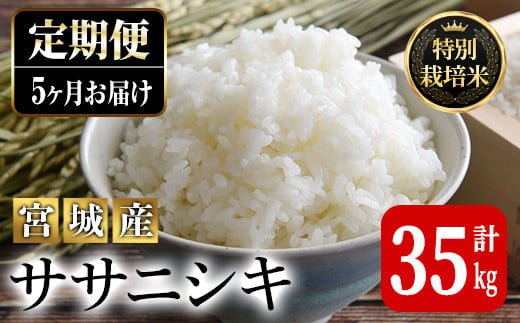 ＜5ヶ月定期便＞特別栽培米 ササニシキ 7kg×5回 (全35kg) お米 おこめ 米 コメ 白米 ご飯 ごはん おにぎり お弁当 有機質肥料 頒布会【JA新みやぎ】ta224