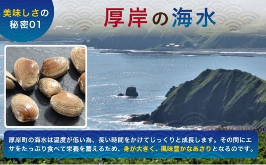 あさり 【定期便 6ヶ月】 北海道 厚岸産 ボイル冷凍あさり 250×5パック (各回1,250g×6ヶ月分,合計約7.5kg) 簡単 お手軽 [№5863-0822]