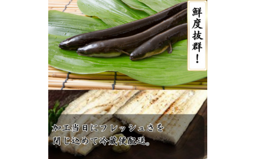 ＜焼きたてを即日発送＞うなぎ白焼き140g×10尾(冷蔵便)【1497529】