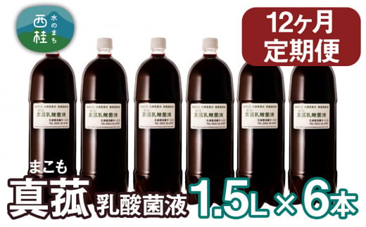 【定期便】真菰（まこも）乳酸菌液　1.5L×6本　12ヶ月定期便 ／ マコモ 無農薬栽培 山梨県