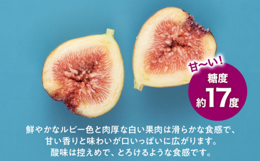 福岡県産ブランド無花果「とよみつひめ」(約300g×4パック)