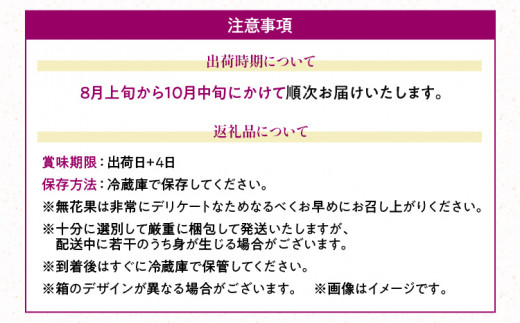 福岡県産ブランド無花果「とよみつひめ」(約300g×4パック)