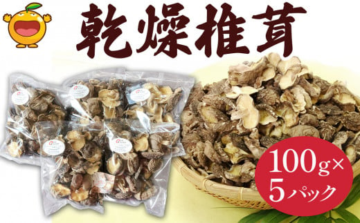 乾燥椎茸 訳あり 椎茸100g×5パック 干し椎茸 しいたけ 乾燥しいたけ 原木 大分県 津久見市 九州産野菜