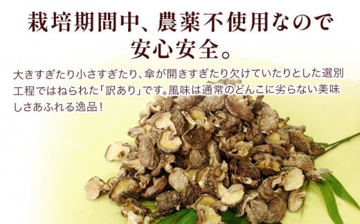 乾燥椎茸 訳あり 椎茸100g×5パック 干し椎茸 しいたけ 乾燥しいたけ 原木 大分県 津久見市 九州産野菜