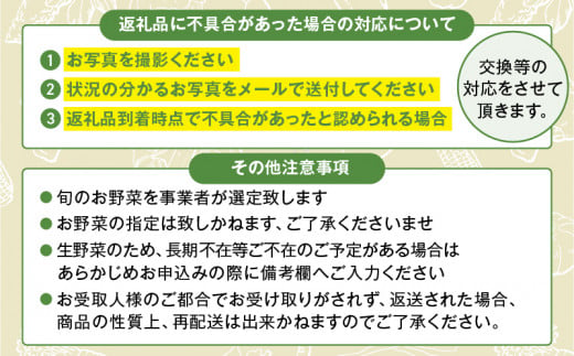 日時指定可能！旬のお野菜セット（サイズ中）【全２回定期便】