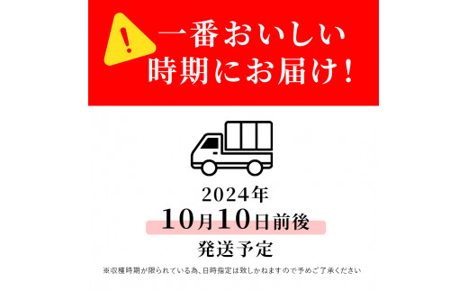 志賀高原の麓で育った 秋映 （家庭用）約10kg 【 りんご 10kg フルーツ 果物 デザート おやつ 長野県 長野 】