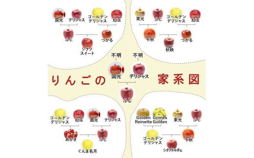 志賀高原の麓で育った 秋映 （家庭用）約10kg 【 りんご 10kg フルーツ 果物 デザート おやつ 長野県 長野 】