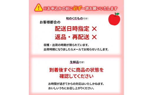 志賀高原の麓で育った 秋映 （家庭用）約10kg 【 りんご 10kg フルーツ 果物 デザート おやつ 長野県 長野 】