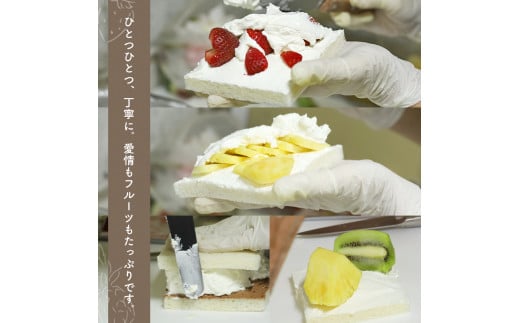 季節のフルーツサンド　5個セット | 果物 くだもの フルーツ フルーツサンド 旬 苺 いちご イチゴ みかん ミカン キウイ ばなな バナナ カスタード クリーム 5個 セット 熊本県 玉名市