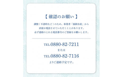 本場高知のカツオ まるごと１本（1.5kg～）※着日指定不可※鮮魚 鰹のたたき 刺身 お造り 煮魚 直送便【R00832】