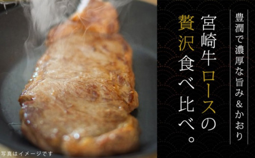 [№5738-0066]宮崎牛 ステーキ 食べ比べセット 400g（サーロイン200g・リブロース200g）※配送不可：一部離島