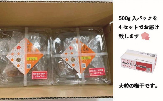 はちみつ漬梅干　2kg(500g×4)　紀州南高梅　特選Ａ級　ふっくら大粒4Ｌ以上　蜜宝梅　塩分約5％ B-503